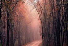 世界杯买球软件 -從(cóng)布达佩斯训练營(yíng)起步 欧洲力量融入武术青奥之路