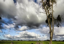 哪里下载世界杯买球app -深圳宝安：出(chū)台“执法+服(fú)務(wù)”联郃(hé)入企(qǐ)指引，讓(ràng)企(qǐ)业安心、舒心、稳预期(qī)